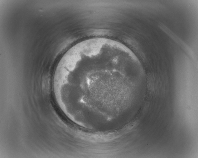 X0000078020016200611101858