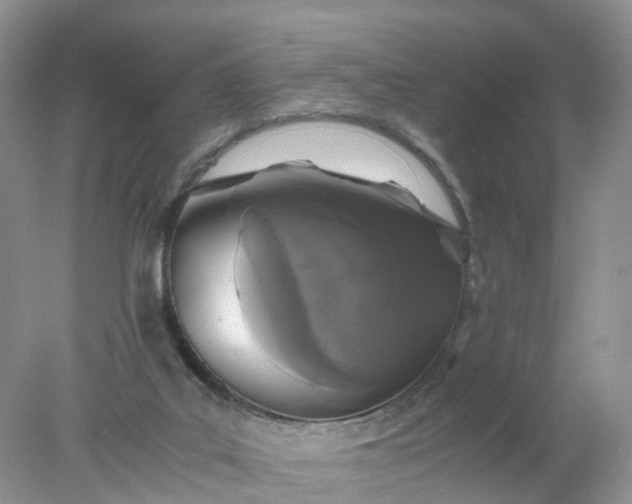 X0000078020019200611101858