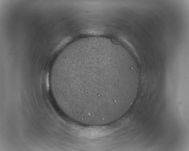 X0000078020020200611101858