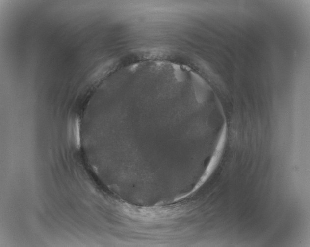 X0000078020022200611101858