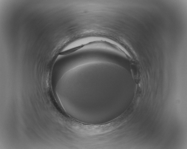 X0000078020023200611101858