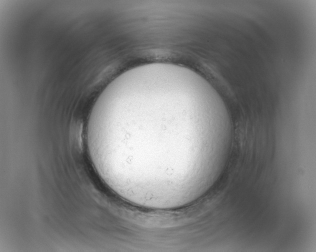 X0000078020024200611101858