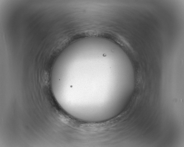 X0000078020025200611101858