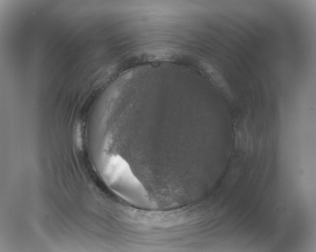 X0000078020026200611101858