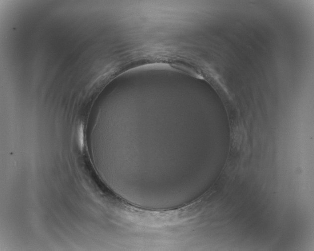 X0000078020027200611101858