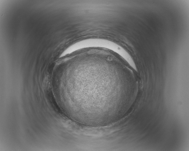 X0000078020029200611101858