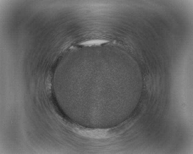 X0000078020032200611101858