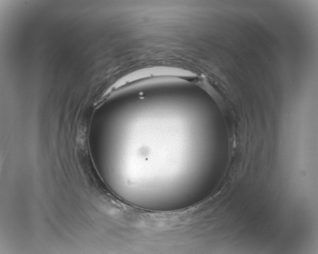 X0000078020033200611101858