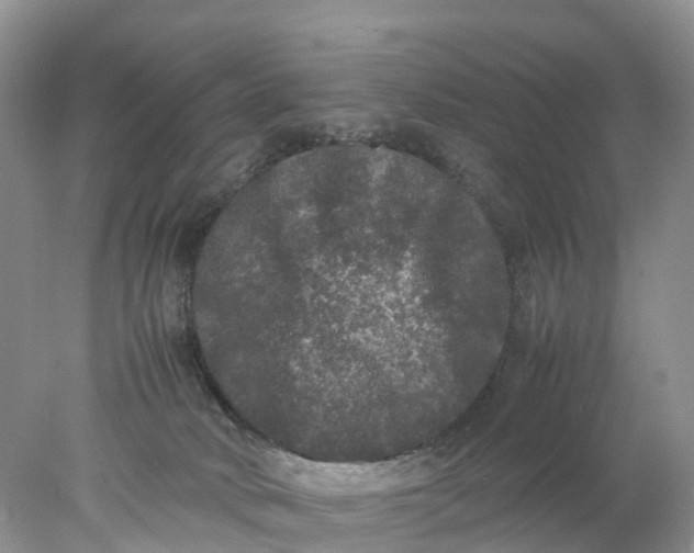 X0000078020034200611101858