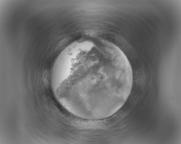 X0000078020036200611101858