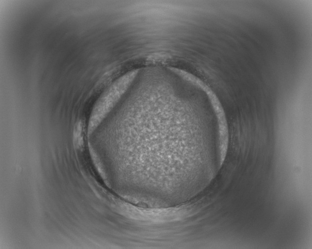 X0000078020038200611101858