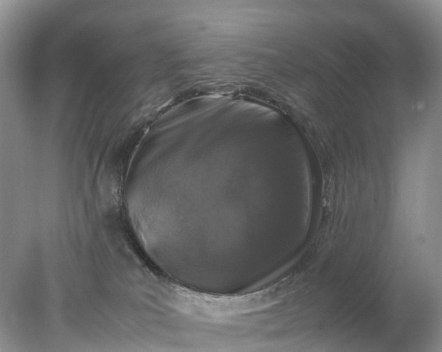 X0000078020039200611101858