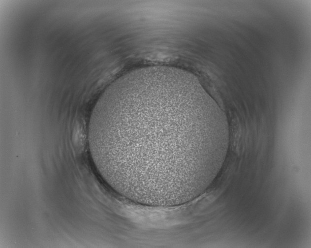 X0000078020040200611101858