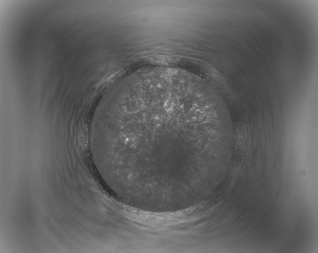 X0000078020043200611101858