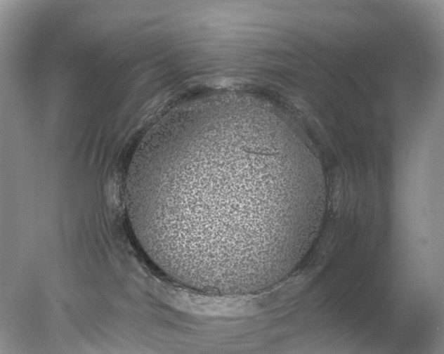 X0000078020044200611101858