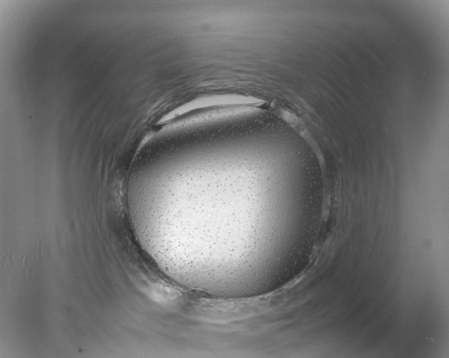 X0000078020045200611101858