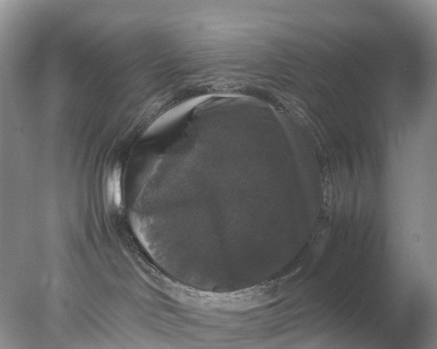 X0000078020046200611101858