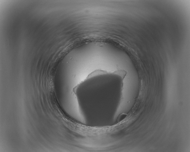 X0000078020048200611101858