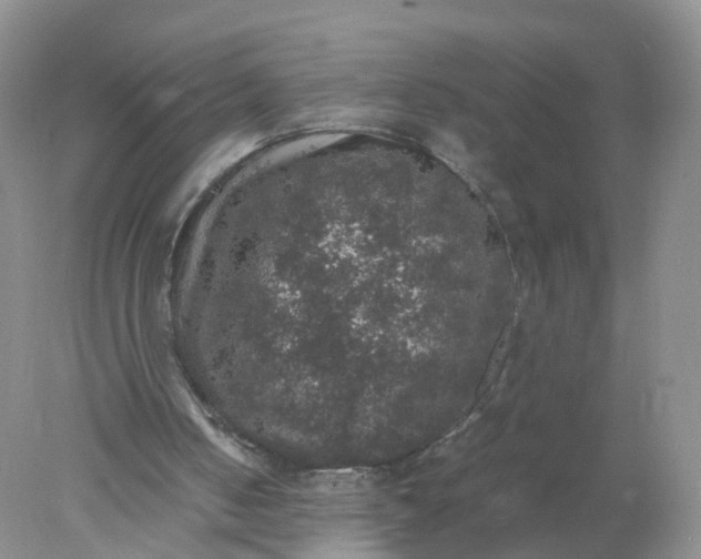 X0000078020050200611101857