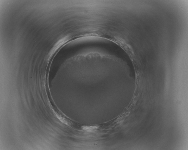 X0000078020051200611101857