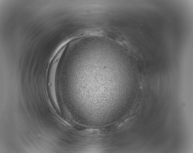 X0000078020052200611101857