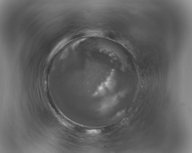 X0000078020053200611101857