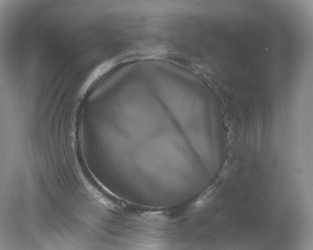 X0000078020054200611101857