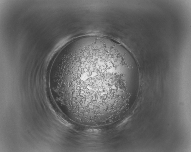 X0000078020055200611101857