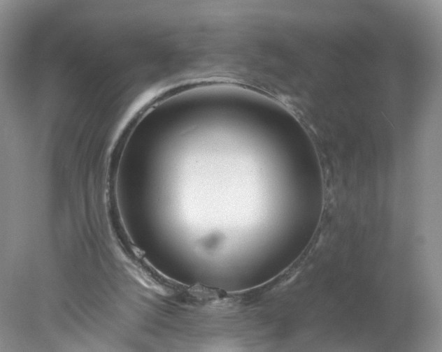 X0000078020056200611101857