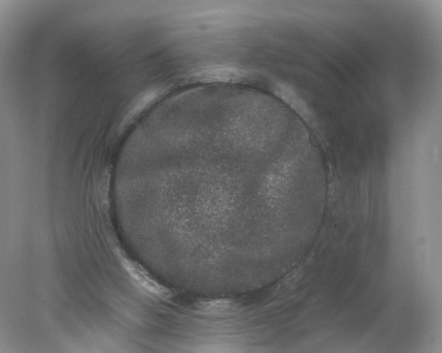 X0000078020058200611101857