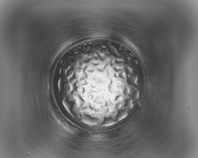 X0000078020059200611101857