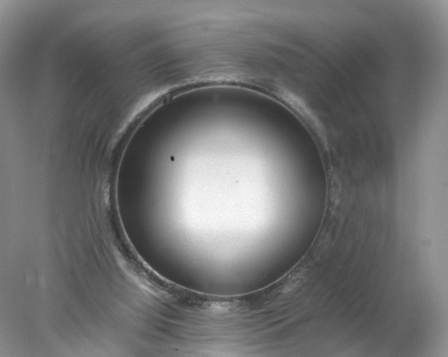 X0000078020060200611101857