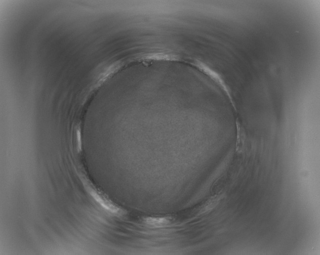 X0000078020061200611101857