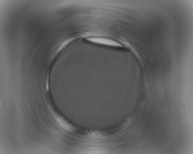 X0000078020062200611101857