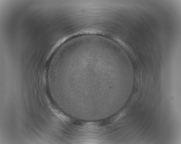 X0000078020064200611101857