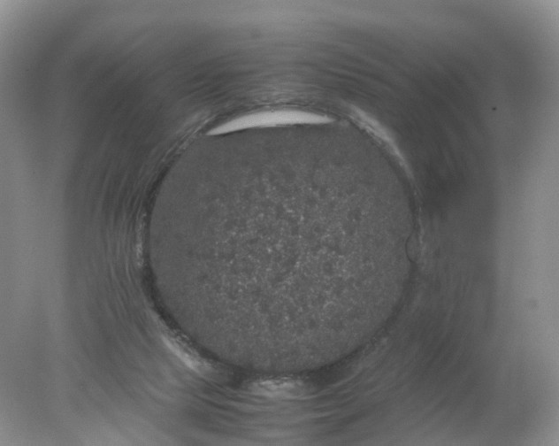 X0000078020065200611101857