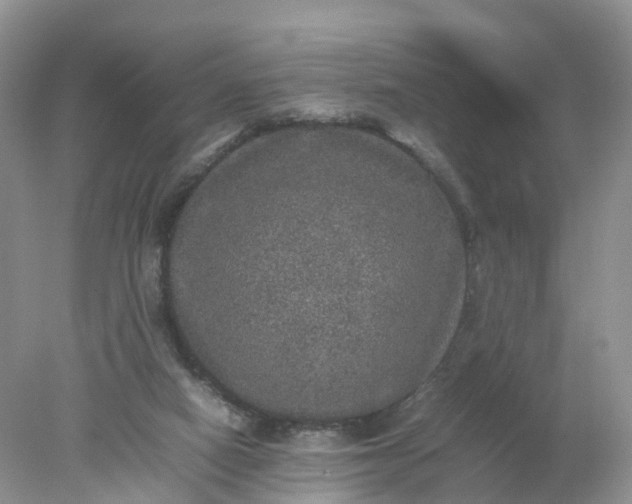 X0000078020066200611101857