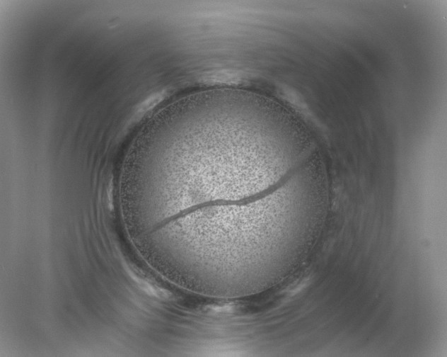 X0000078020068200611101857