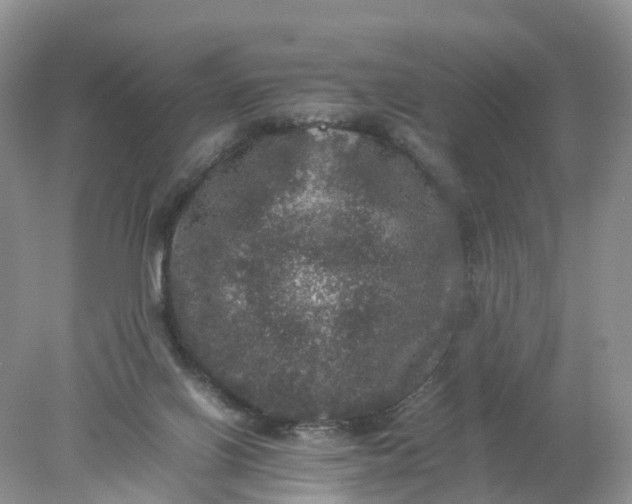 X0000078020070200611101857