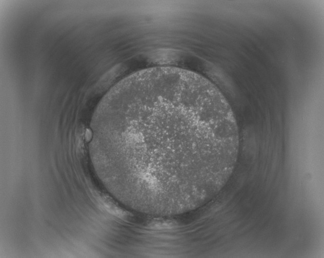 X0000078020073200611101858