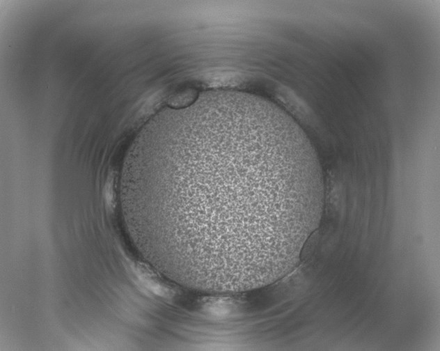 X0000078020074200611101858