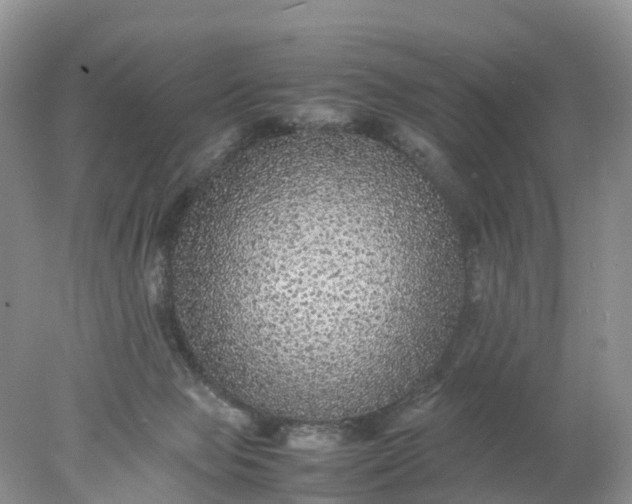 X0000078020077200611101858