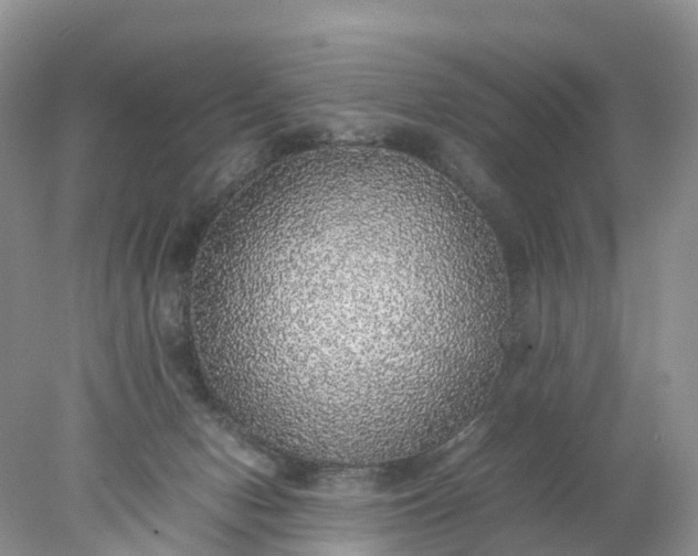 X0000078020078200611101858