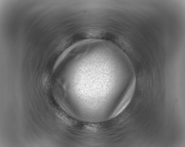 X0000078020079200611101858