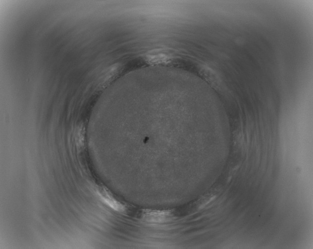 X0000078020081200611101858