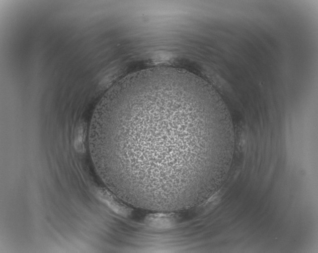 X0000078020082200611101858