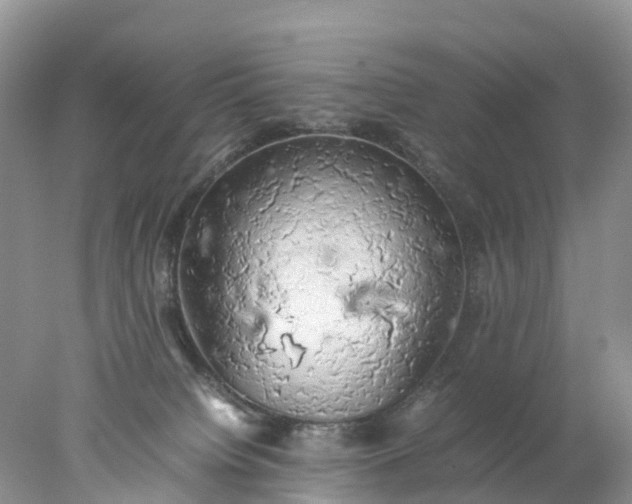 X0000078020084200611101858