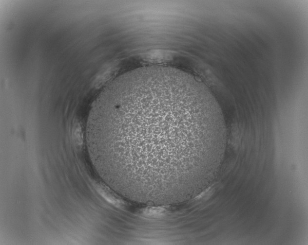 X0000078020086200611101858