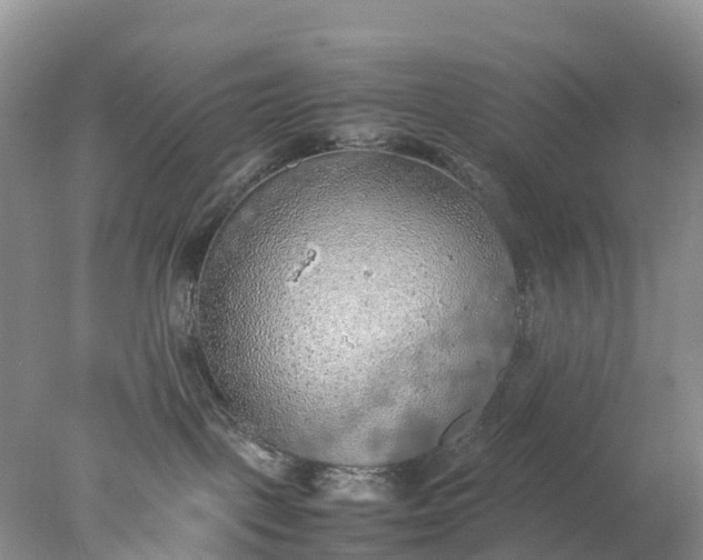 X0000078020093200611101858