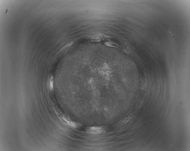 X0000078020095200611101858